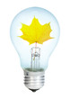 Electrobulb with maple  leaf