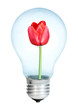 Electrobulb with a bunch of tulips