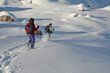 Course en raquettes