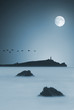 Moonlit ocean
