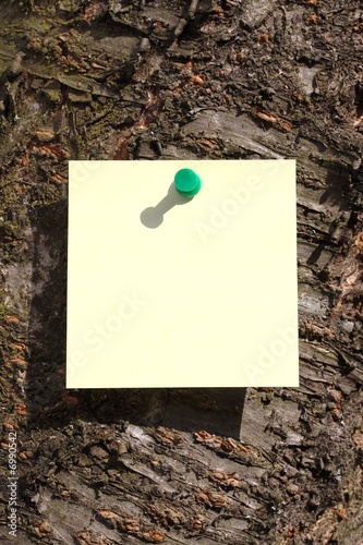 sticky note on a tree