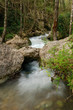 Parco Nazionale del Cilento - Morigerati Parco Nazionale del Cilento - Morigerati