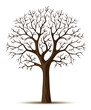 vector silhouette of tree branches cron
