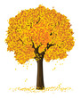 vector silhouette of autumn season yellow tree