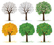 vector silhouette of seasonal tree