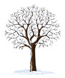 vector silhouette of winter season tree