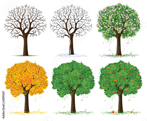tree silhouette vector. vector silhouette of seasonal