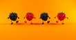Fruits rouges