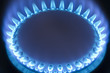 Blue flames of a gas stove