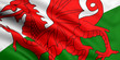 Flag Of Wales Flag Of Wales