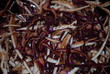 Food - Salade