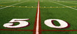 Fifty yard line