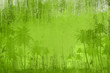 Incontaminated land