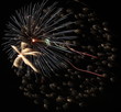 Photo: Fireworks Fireworks