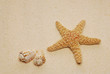 Strandgut