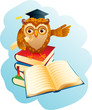 Vector illustration - old wise owl.