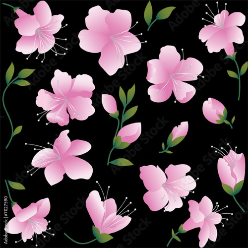 Pink flowers on black background. Seamless figure.