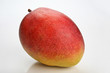 Mangue