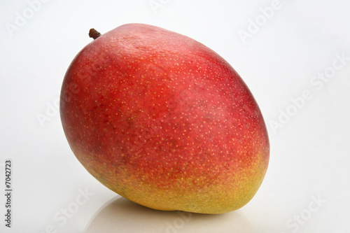 Mangue