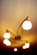 light