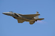F-15E Strike Eagle F-15E Strike Eagle