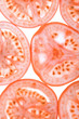 Sliced tomato