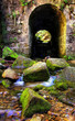Old gates on mountain river