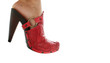 Red slipper
