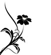 série vecteur - fleur noire isolée sur un fond blanc