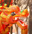 Dragon chinois