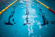piscine jeux olympique ligne eau compétition natation nager