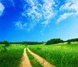 beautiful summer landscape beautiful summer landscape