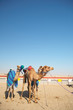 Robot camel racing