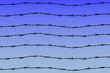 barbed wires on blue sky background