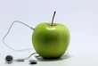 MP3-Player Natur