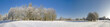snow