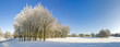 snow