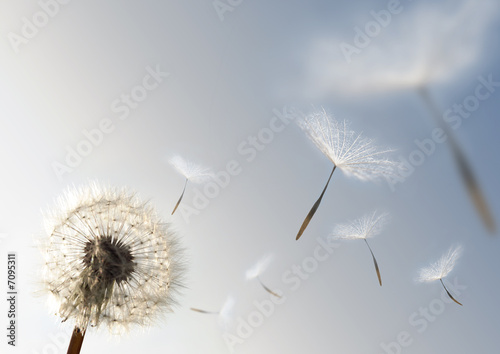 Foto: Seeds of Growth Seeds of Growth