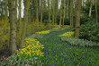 beautiful garden