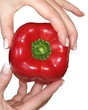 Mains montrant un poivron rouge