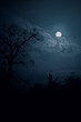 Moon night in forest (collage)