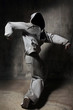 the dancer