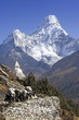 Mt. Ama Dablam a pěší