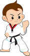 taekwondo boy taekwondo boy