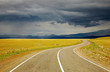 Road to nowhere