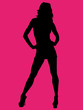 Silhouette femme sexy Silhouette femme sexy