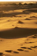 deserto