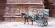 Calèche, Petra