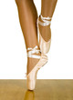 Ballet Workout Movements Ballet Workout Movements