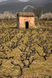 Maison des vignes Maison des vignes